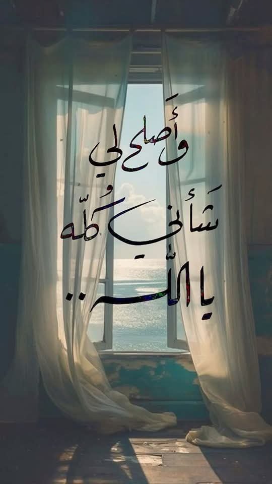 Nour Hamdy