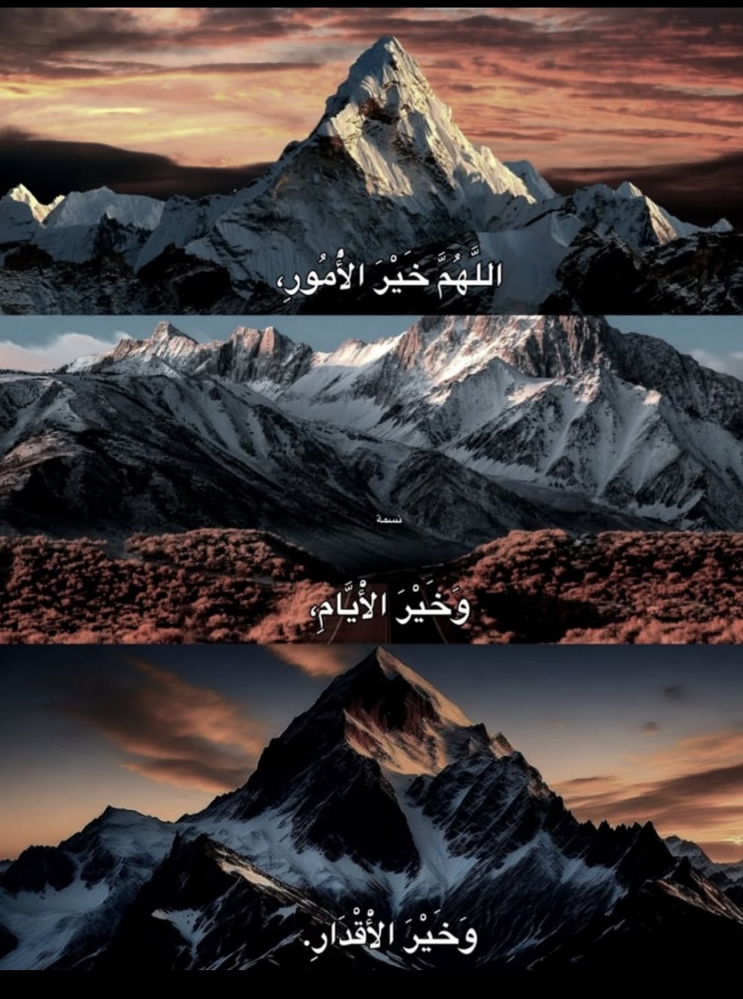 مالك٢٧٩٢٠١٨ على مؤمن