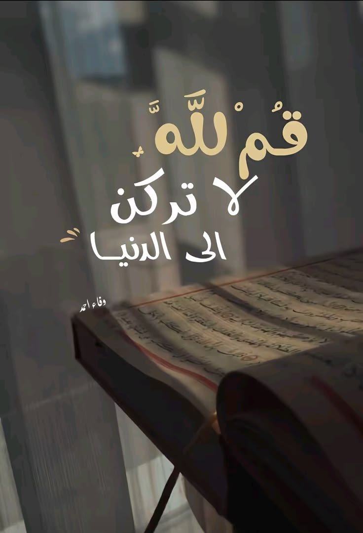 أحلام عطا أحمد
