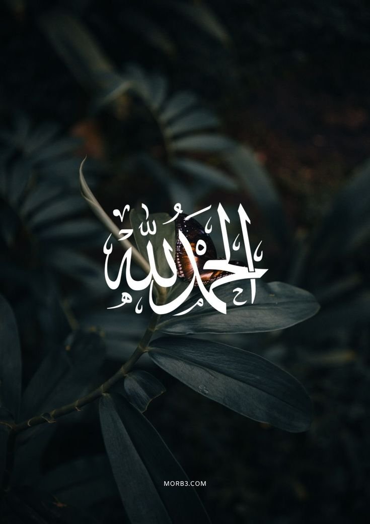 على مصطفى