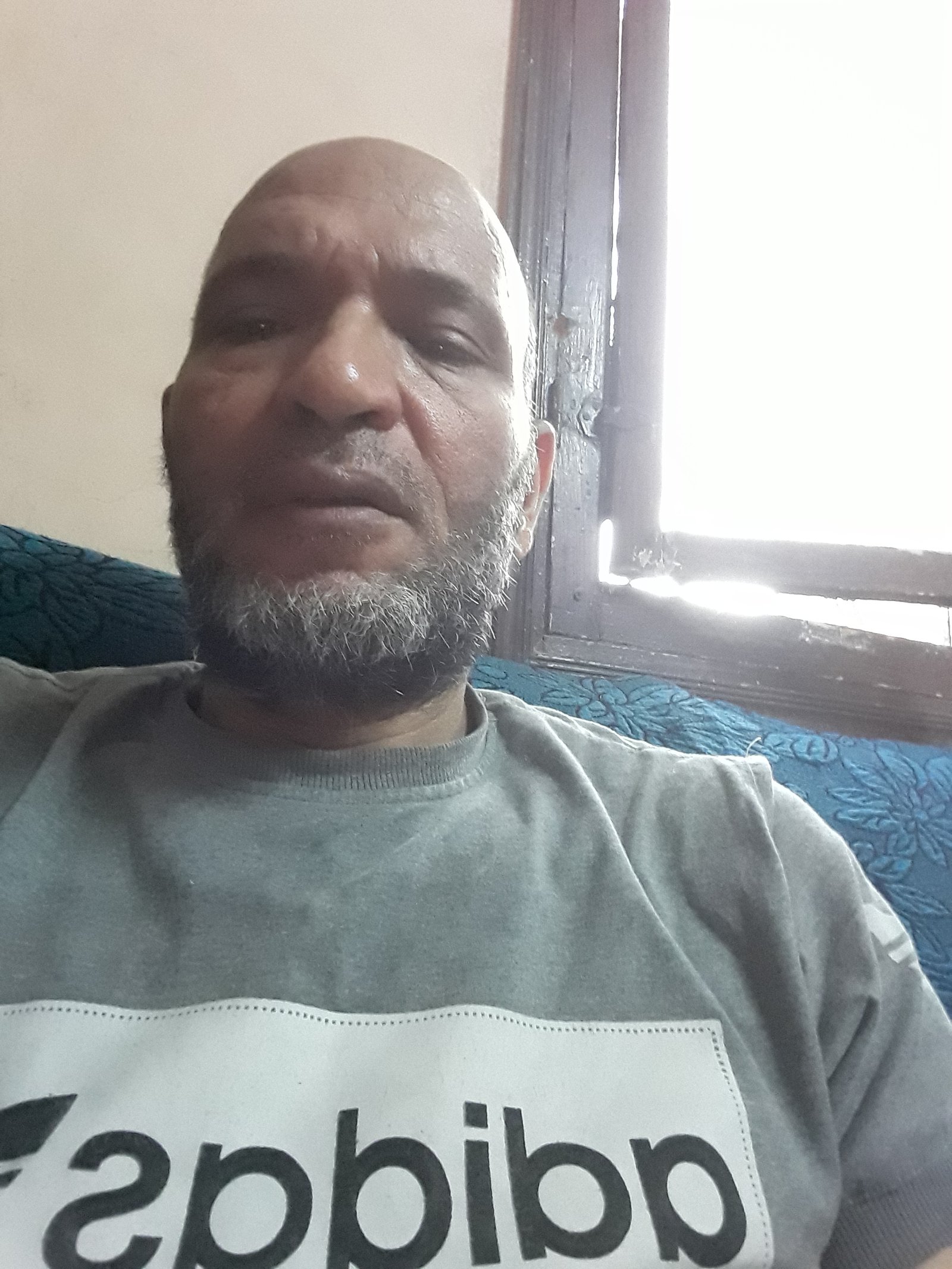 gamal 436