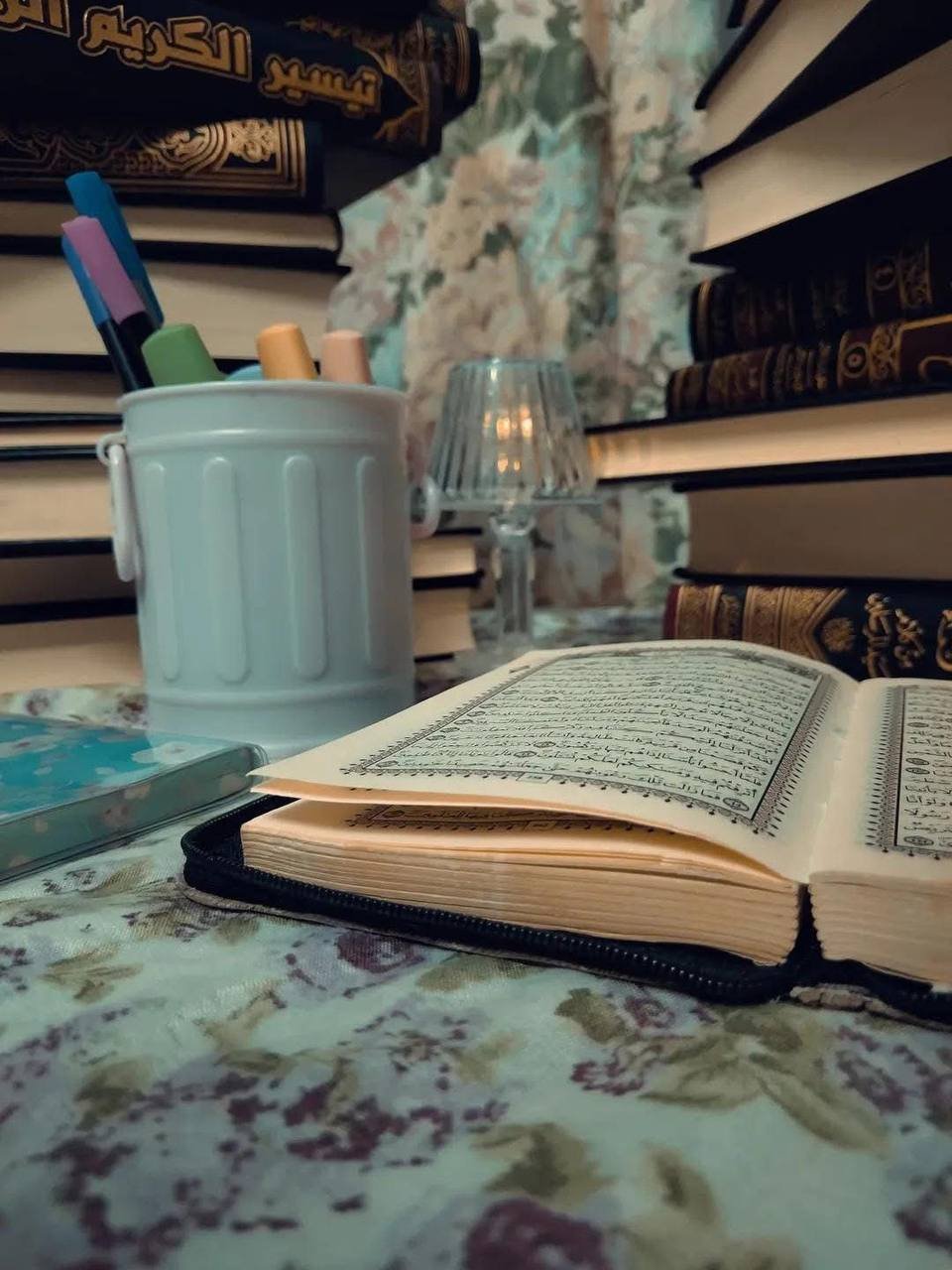 شيماء عبد المناف فخرى 