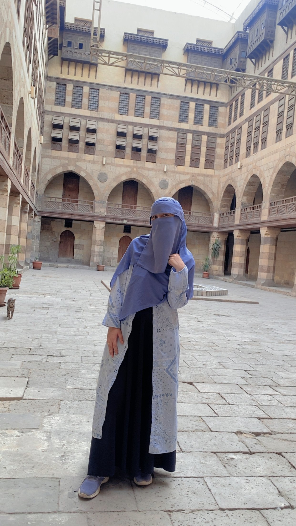 Bothina Amer